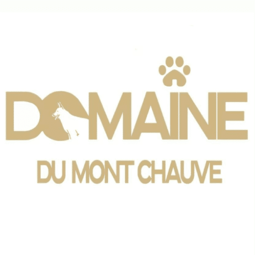 Domainedumontchauve